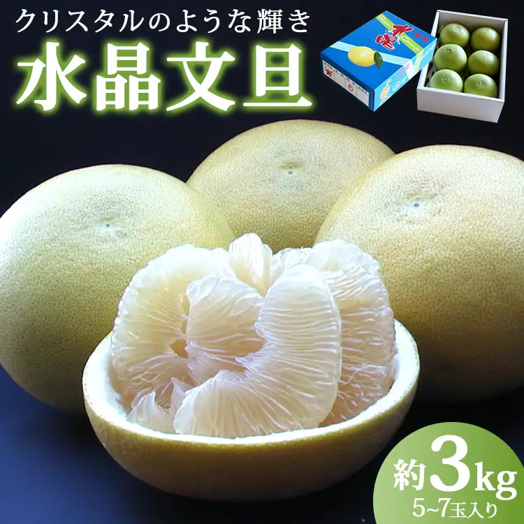 令和8年9月中旬発送開始】水晶文旦 3kg 文旦 先行受付 ku-0055 | 高知