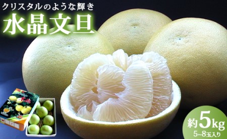 【9月中旬発送開始】水晶文旦 3kg 文旦 先行受付 ku-0056