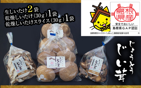 じょうとうじい茸2袋セット【しいたけ 椎茸 城東化成 乾燥しいたけ 干ししいたけ スライス きのこ キノコ セット 安全 おいしい 国産 島根県 安来市】