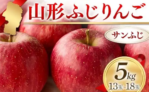 〈先行予約2026年発送〉山形ふじりんご 5kg サンふじ 13玉～18玉 りんご リンゴ 林檎 デザート フルーツ 果物 くだもの 果実 食品 山形県 FSY-2593