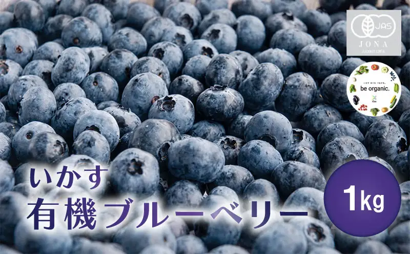 ブルーベリー いかす 有機 ブルーベリー 1kg 【7月上旬～8月上旬お届け】