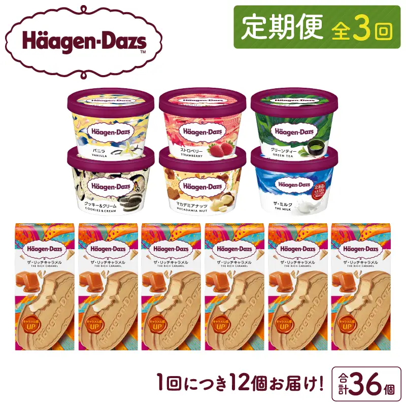 ＜全3回定期便・連続＞ハーゲンダッツ『ミニカップ＆クリスピーサンドセット(合計36個)』アイスクリーム アイス スイーツ デザート ミルクアイス アイススイーツ アイスデザート_H0016-137