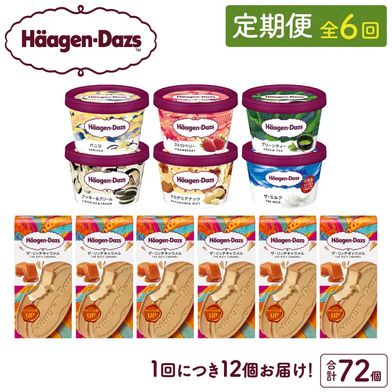 ＜全6回定期便・連続＞ハーゲンダッツ『ミニカップ＆クリスピーサンドセット(合計72個)』アイスクリーム アイス スイーツ デザート ミルクアイス アイススイーツ アイスデザート_H0016-138