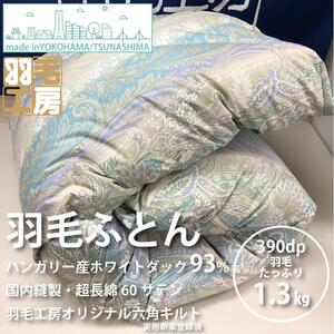 羽毛掛ふとん（シングルサイズ）・ブルー系 AAC0002VC02