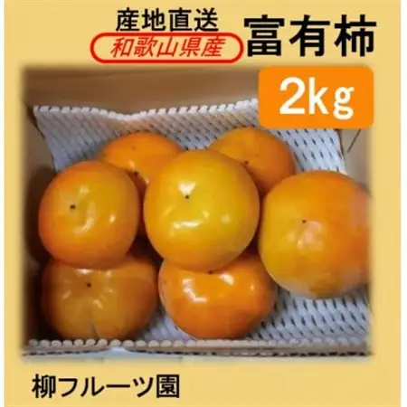 柿【先行受付】柳フルーツ園 富有柿 約2kg_果物・フルーツ 柿（カキ）  かき_【配送不可地域：離島】【1456563】