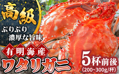 【2026年7月-発送】有明海のワタリガニ 200g-300g 長栄丸水産 [SFM001] ワタリガニ