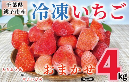 いちご とちおとめ やよいひめ 1kg×4パック 計4kg いちご 冷凍