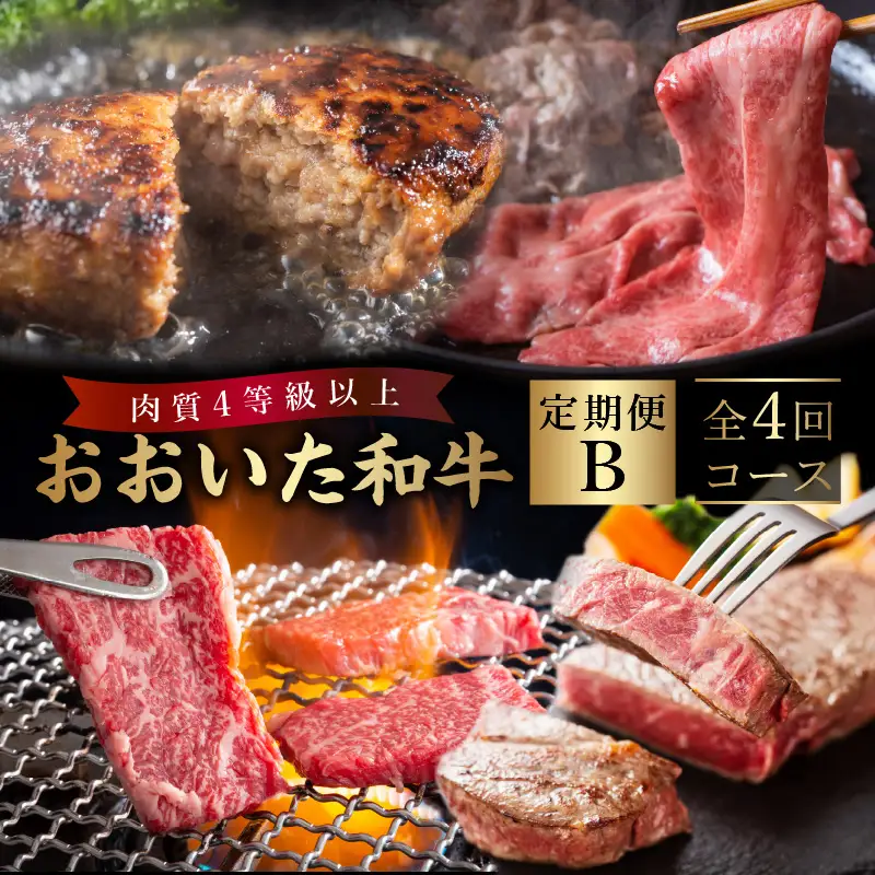 《定期便》おおいた和牛 定期便B_B163-011【牛 牛肉 和牛 おおいた和牛 セット 焼肉 すき焼き ステーキ 定期便 定期 のし 贈答 贈り物 冷凍 送料無料 4回 別府市】