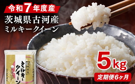 【定期便 6か月】令和7年産 古河市産ミルキークイーン 5kg｜米 _DP38