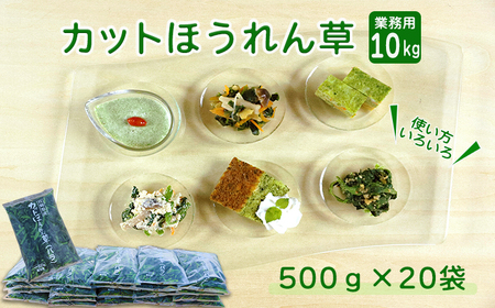 《大容量10kg》九州産 ほうれん草 業務用 コスパ最強と話題の冷凍法蓮草 [冷凍野菜 法連草] TF0590-P00019