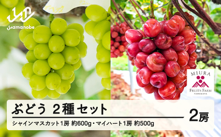 《先行予約》2026年 山形県山辺町産 マイハートと特選シャインマスカットセット  2026年10月上旬から順次発送 F21A-241