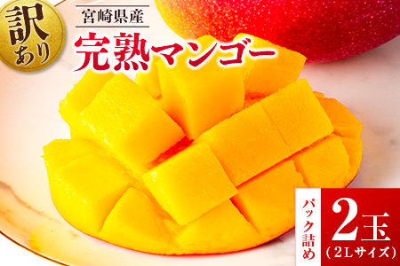 先行予約 ＜訳あり＞ 完熟マンゴー 宮崎県産 2Lサイズ 2玉 フルーツ 果物【B615-26】