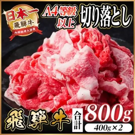 飛騨牛 厳選切り落とし 800g(400g×2)　A4～A5等級　黒毛和牛　小分け_肉 飛騨牛 牛肉 うし ビーフ_【配送不可地域：離島】【1484849】