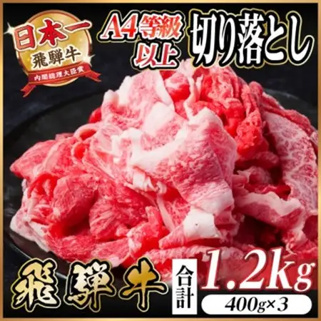 飛騨牛 厳選切り落とし 1.2kg(400g×3)　A4～A5等級　黒毛和牛 小分け_肉 飛騨牛 牛肉 うし ビーフ_【配送不可地域：離島】【1487292】