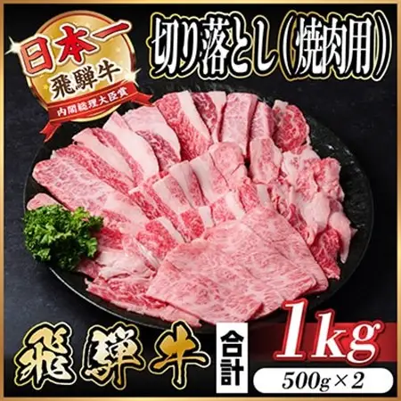 飛騨牛　厳選切り落とし(焼肉・BBQ用)　1kg(500g×2)　訳あり　黒毛和牛　小分け_肉 飛騨牛 牛肉 うし ビーフ_【配送不可地域：離島】【1487351】