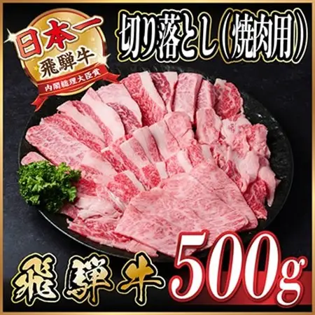 飛騨牛 厳選切り落とし(焼肉・BBQ用) 500g　訳あり 黒毛和牛　4～A5等級_肉 飛騨牛 牛肉 うし ビーフ_【配送不可地域：離島】【1487352】