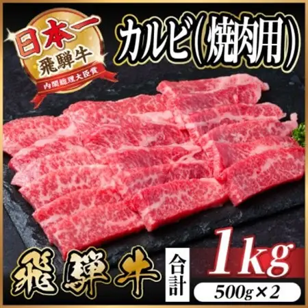 飛騨牛 厳選カルビ(焼肉・BBQ用) 1kg(500g×2) 小分け 黒毛和牛 A4～A5等級_肉 焼肉 牛肉 やきにく ヤキニク バーベキュー  肉 飛騨牛 牛肉 うし ビーフ_【配送不可地域：離島】【1487353】