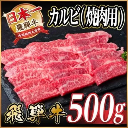 飛騨牛　厳選カルビ(焼肉・BBQ用) 500g　A4～A5等級 黒毛和牛　小分け_肉 焼肉 牛肉 やきにく ヤキニク バーベキュー  肉 飛騨牛 牛肉 うし ビーフ_【配送不可地域：離島】【1487355】