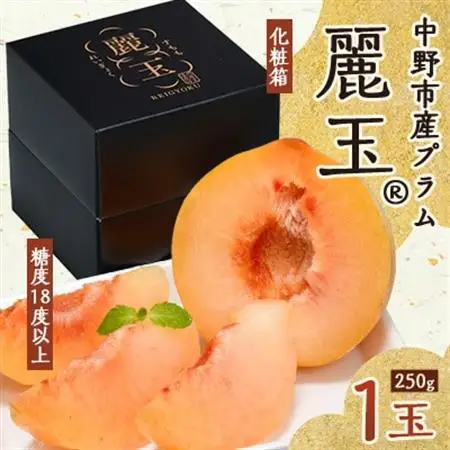 長野県オリジナル品種　数量限定のプラム【麗玉(R)】1玉250g化粧箱(糖度18度以上保証)【配送不可地域：離島】【1477987】