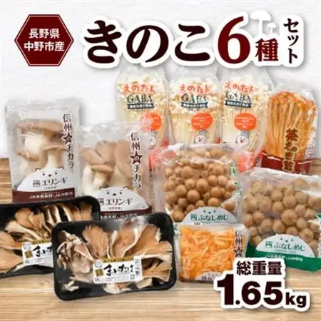 JA中野市産地直送!6種11パック入りきのこセット【中野市特産きのこセットできのこ食を習慣に】【配送不可地域：離島】【1487473】