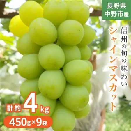 長野県中野市産ぶどう・シャインマスカット450g 9袋入り1箱【配送不可地域：離島】【1494268】
