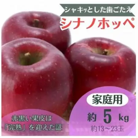 りんご シナノホッペ 約5kg 家庭用 (13玉～23玉)【1495969】 | 長野県