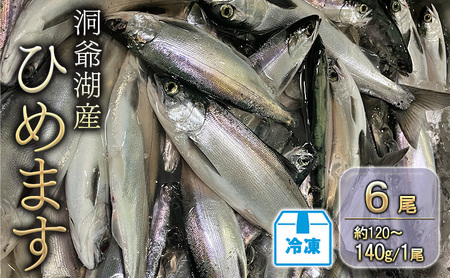 洞爺湖産ひめます6尾(約120～140g/1尾)冷凍 