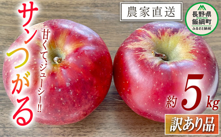 りんご サンつがる 訳あり 5kg 令和8年度収穫分 沖縄県への配送不可 2026年9月上旬頃から2026年9月中旬頃まで順次発送予定 宮本ファーム エコファーマー 減農薬栽培 津軽 つがる 傷 変形 サビ あり 長野県 飯綱町 [1789]