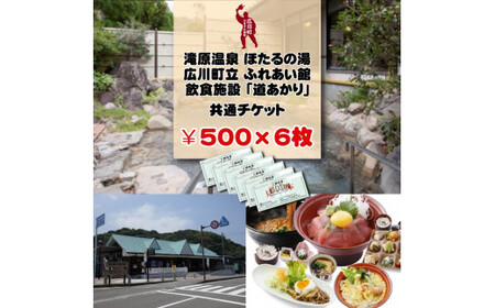 広川町施設利用券（500円×6枚）※着日指定不可 旅行 南紀 温泉 食事券 宿泊券 【htr911-500x6】