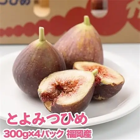 【先行受付】福岡限定!ブランドいちじく「とよみつひめ」約300g×4パック(大野城市)_果物・フルーツ   くだもの_【配送不可地域：離島・北海道・沖縄県・東北】【1083967】