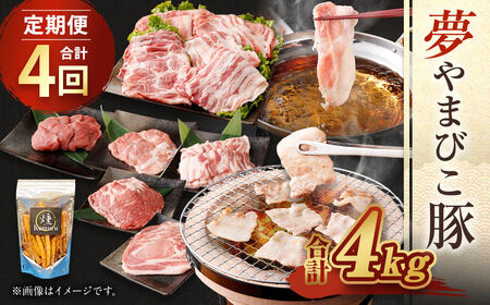 【定期便】「夢やまびこ豚」鍋セット 焼肉セット 各2回 | 豚肉 お肉 しゃぶしゃぶ 焼肉 冷蔵 幸田町 国産 送料無料