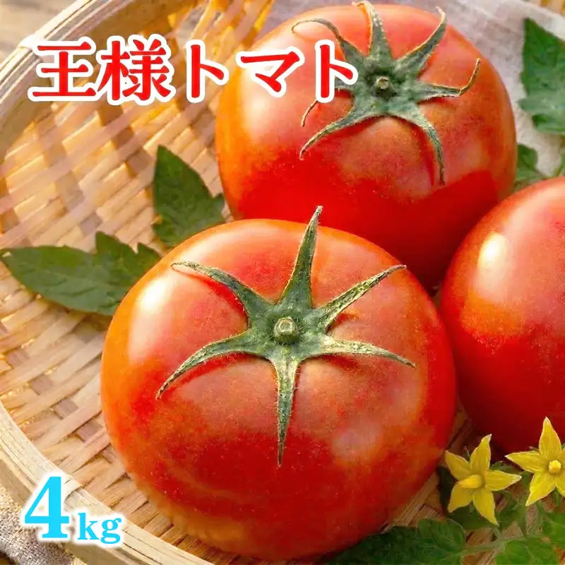 箱守果樹園 直送！ 「 王様トマト 」 1箱 4kg