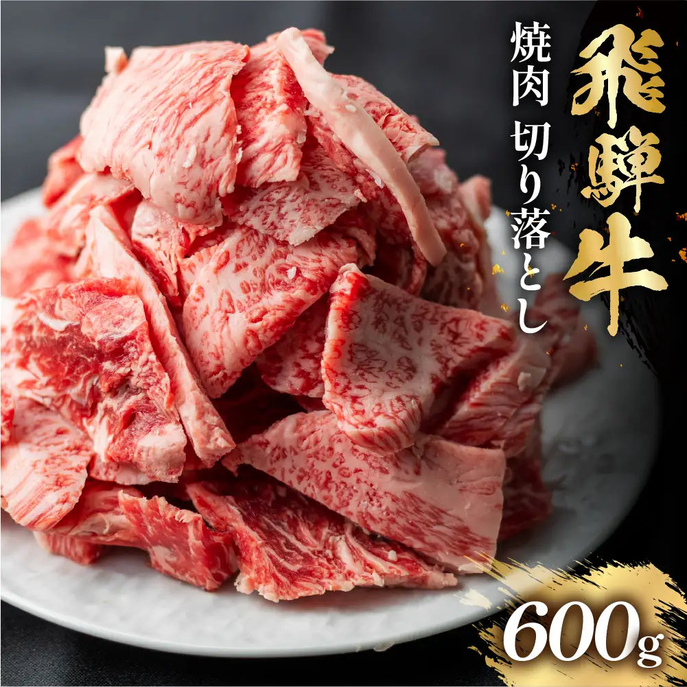 飛騨牛 焼肉 切り落とし 600g 焼肉  [S767]