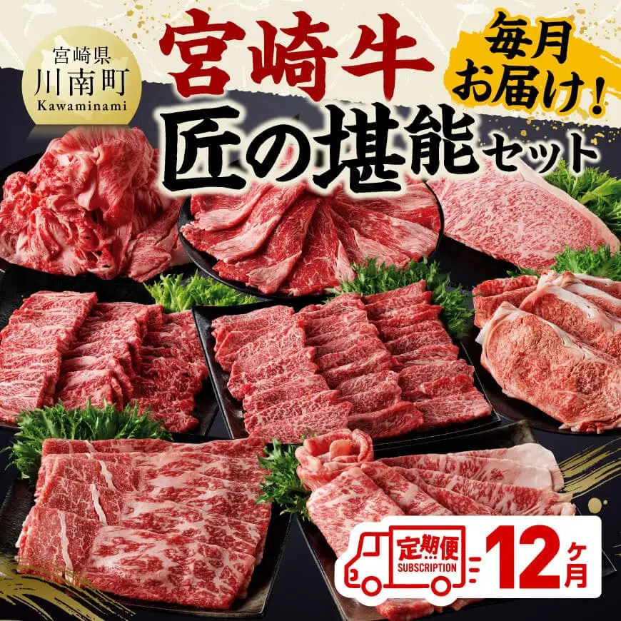 【定期便】宮崎牛　匠の堪能セット 12か月定期便 【 肉 牛肉 国産 黒毛和牛 宮崎牛 全12回 焼肉 しゃぶしゃぶ 焼きしゃぶ BBQ 宮崎県 川南町 】