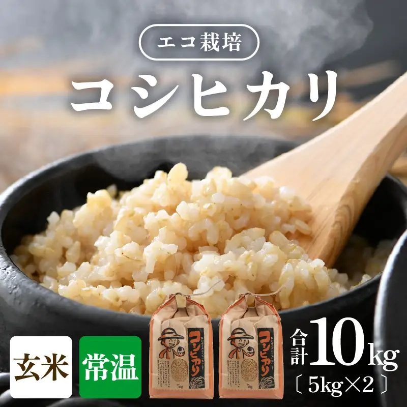 【先行予約】【令和8年産 新米】エコ栽培コシヒカリ 玄米10kg（5kg×2） ／ 鮮度抜群 福井県産 こしひかり ご飯 新鮮 玄米 ※2026年10月上旬以降順次発送 [aw063-b011]