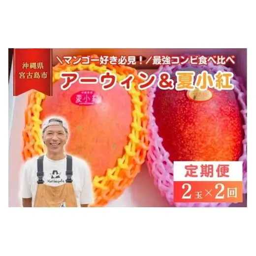 【2026年先行予約】【檬果家】【定期便】マンゴー好き必見！最強コンビ食べ比べ【アーウィン＆夏小紅】（HZ002）