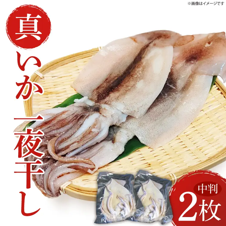 真いか一夜干(中判2枚入り)|イカ 真イカ 海鮮 魚介 海の幸 真空 茨城県 北茨城市（BH008）