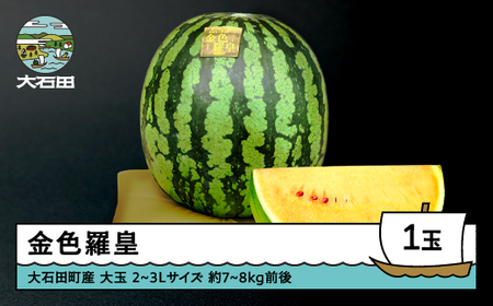 すいか 大玉 金色羅皇 2~3Lサイズ×1玉 令和8年産 山形県産 mn-sukrx2