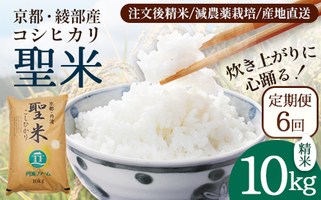 【定期便6回】 聖米(白米) 10kg×6回 | 米 お米 こしひかり 白米 精米