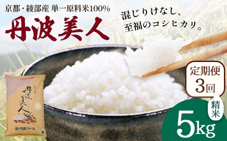 【定期便3回】 丹波美人 白米 5kg×3回 | 米 お米 こしひかり 白米 精米