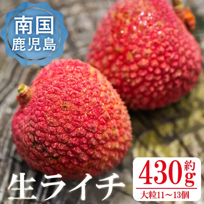 【数量限定】鹿児島県曽於市産 生ライチ(約430g・大粒11～13個) 鹿児島県産 果物 フルーツ【大徳産業】A157-v01