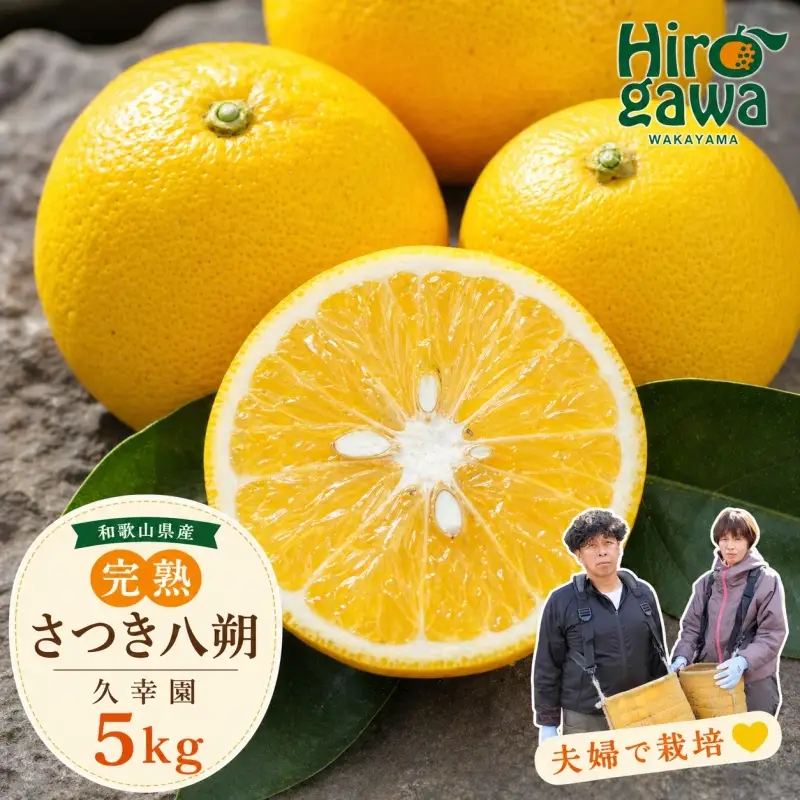 完熟 さつき 八朔 5kg / はっさく 甘い 和歌山 柑橘 ※2027年4月上旬～5月上旬頃に順次発送予定 【hsk022-r-5】