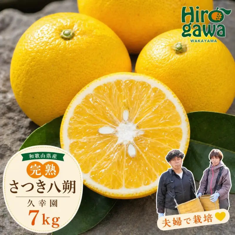 完熟 さつき 八朔 7kg / はっさく 甘い 和歌山 柑橘 ※2027年4月上旬～5月上旬頃に順次発送予定 【hsk022-r-7】