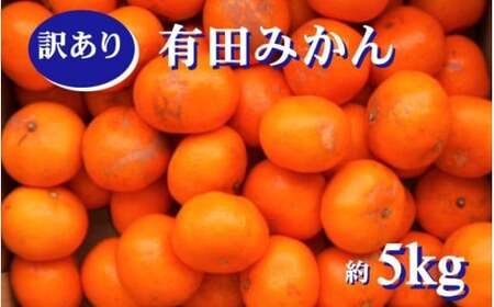 紀州 有田 みかん 訳あり キズ 5kg サイズ混合 家庭用 ※2026年11月下旬～2027年1月中旬頃に順次発送予定 ※北海道・沖縄・離島配送不可 / 温州みかん 甘い 柑橘 果物 和歌山【sml004-c-5A】