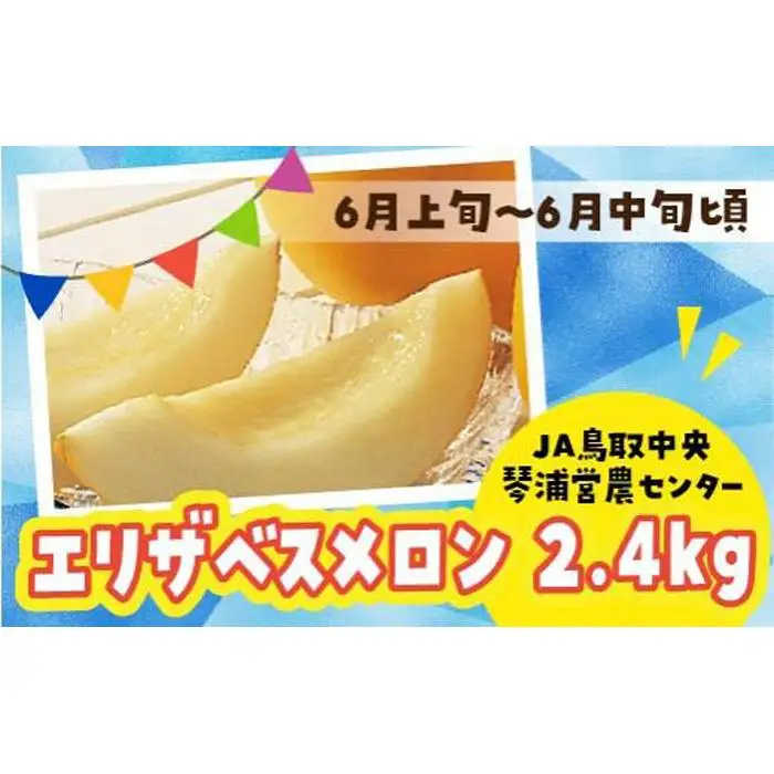 【先行予約】数量限定 鳥取県産 エリザベスメロン 4玉（2.4kg）|メロン