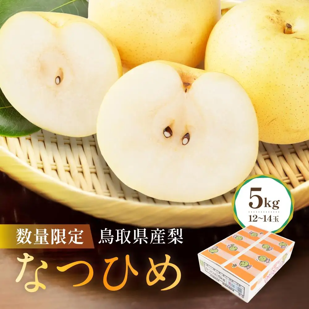数量限定 鳥取県産梨 なつひめ 5kg（12～14玉）|梨