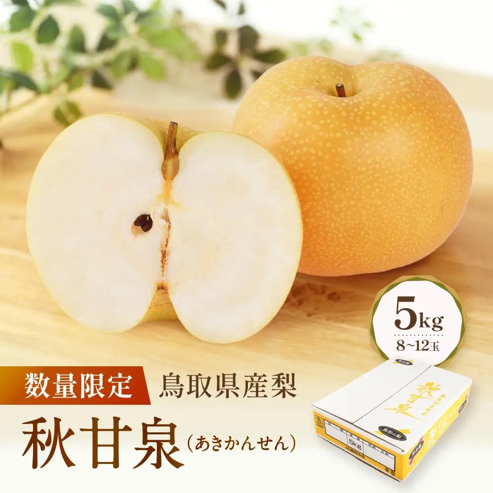 数量限定 鳥取県産梨 秋甘泉（あきかんせん） 5kg（8～12玉）|梨