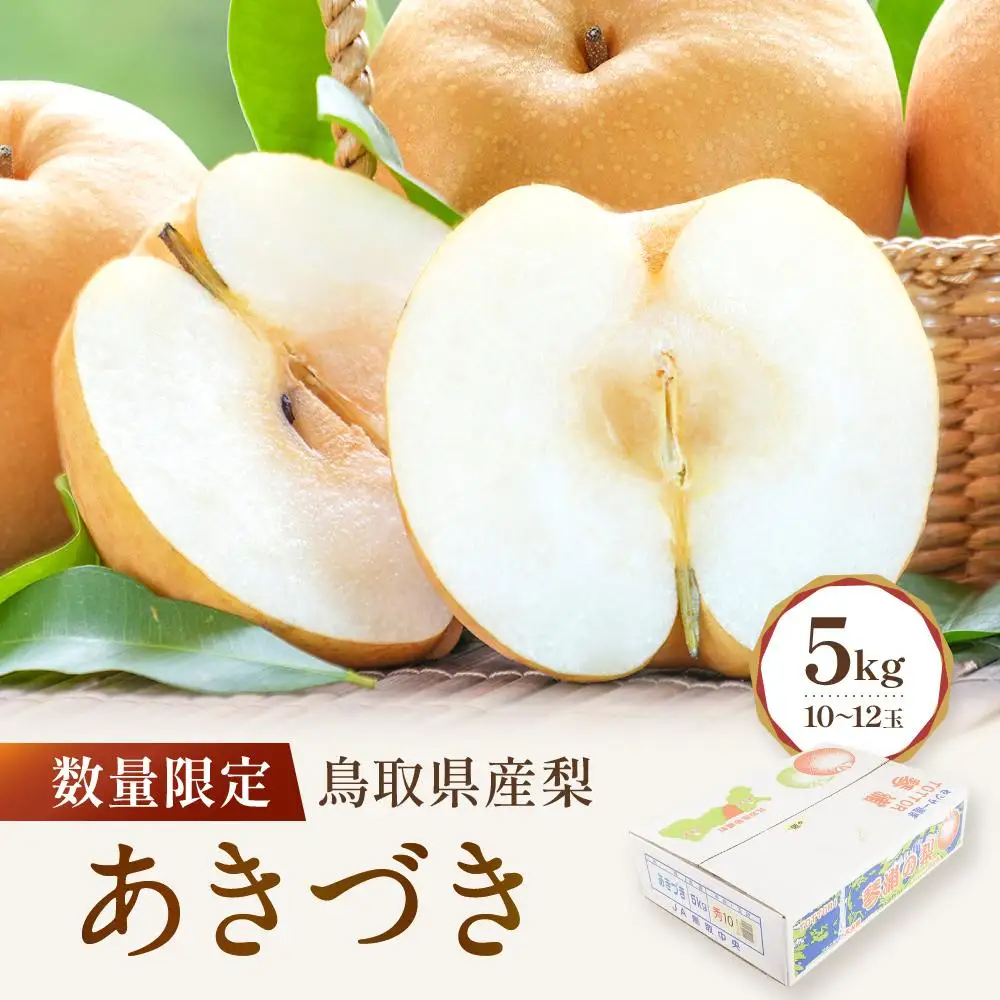 数量限定 鳥取県産梨 あきづき 5kg（10～12玉）|梨