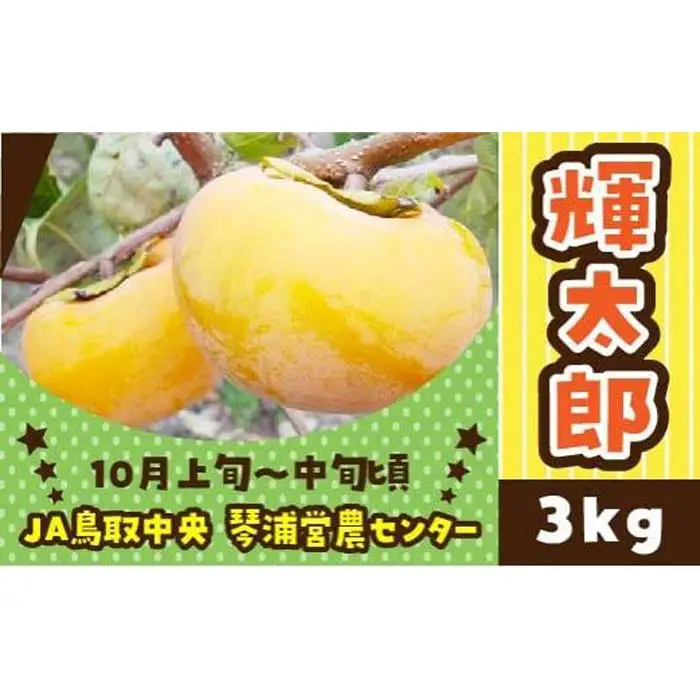 【先行予約】数量限定 鳥取県産柿 輝太郎（きたろう） 3kg|柿