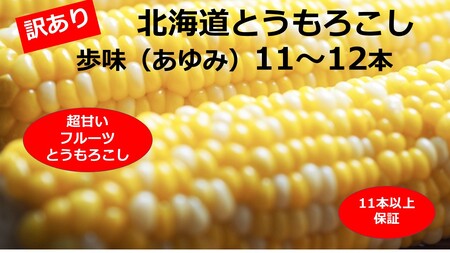 訳あり 北海道 歩味（あゆみ）バイカラーコーン 11～12本入り とうもろこし トウモロコシ 数量限定 期間限定 甘い 朝採れ